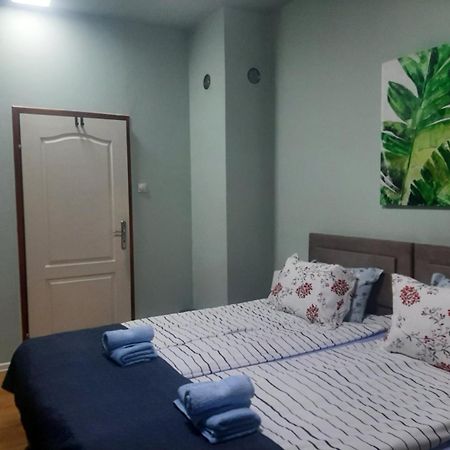 Apartman Ana Leskovac  Buitenkant foto
