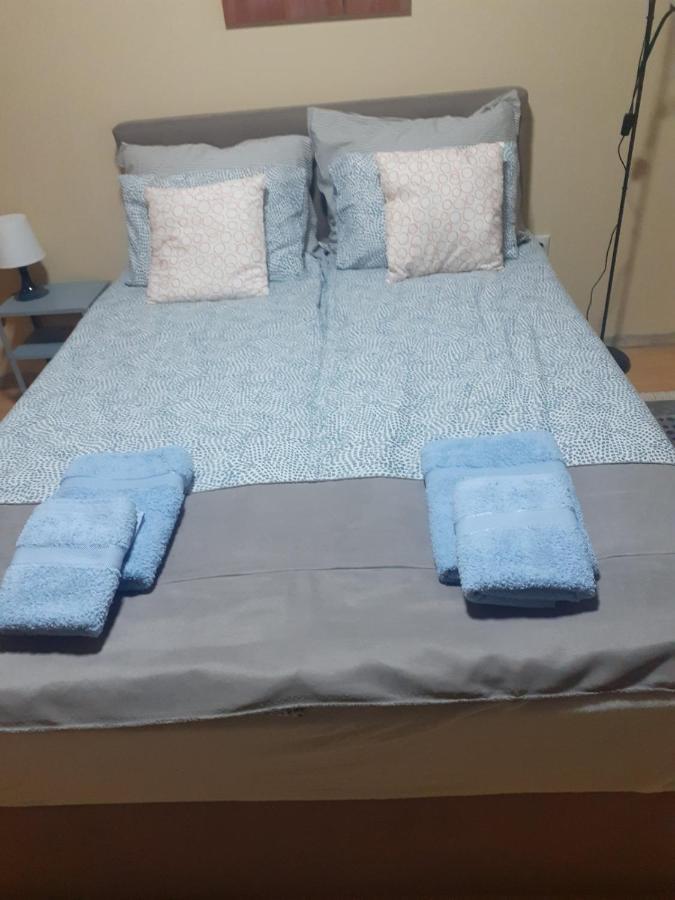 Apartman Ana Leskovac  Buitenkant foto