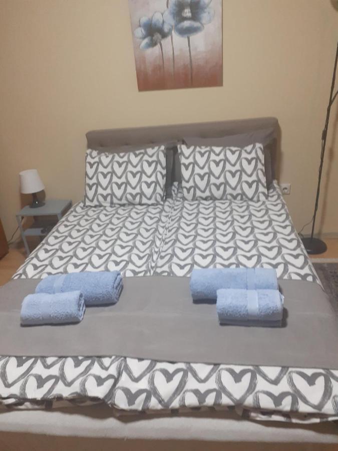 Apartman Ana Leskovac  Buitenkant foto
