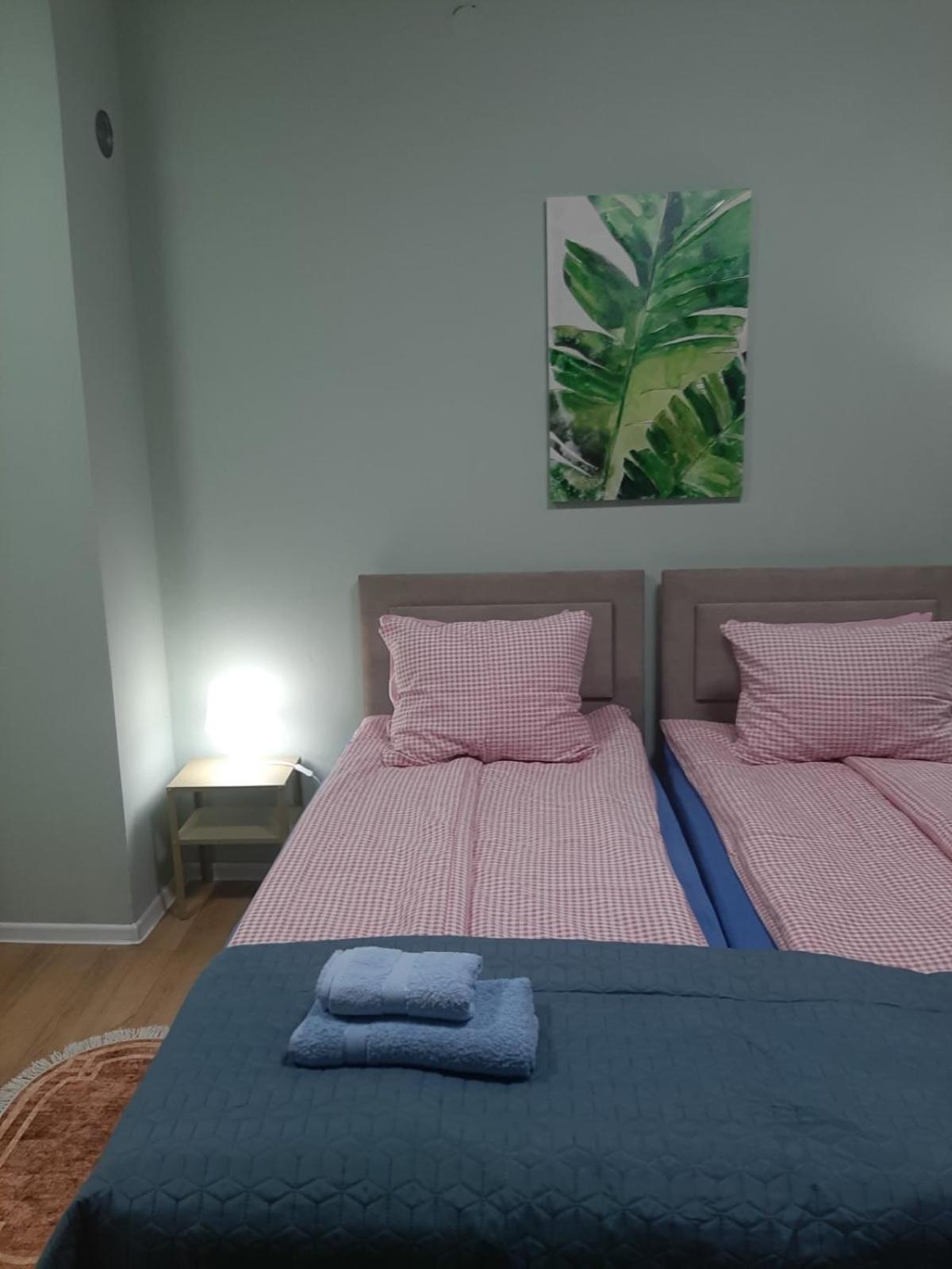 Apartman Ana Leskovac  Buitenkant foto