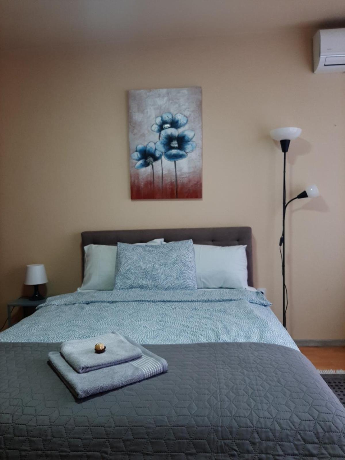 Apartman Ana Leskovac  Buitenkant foto