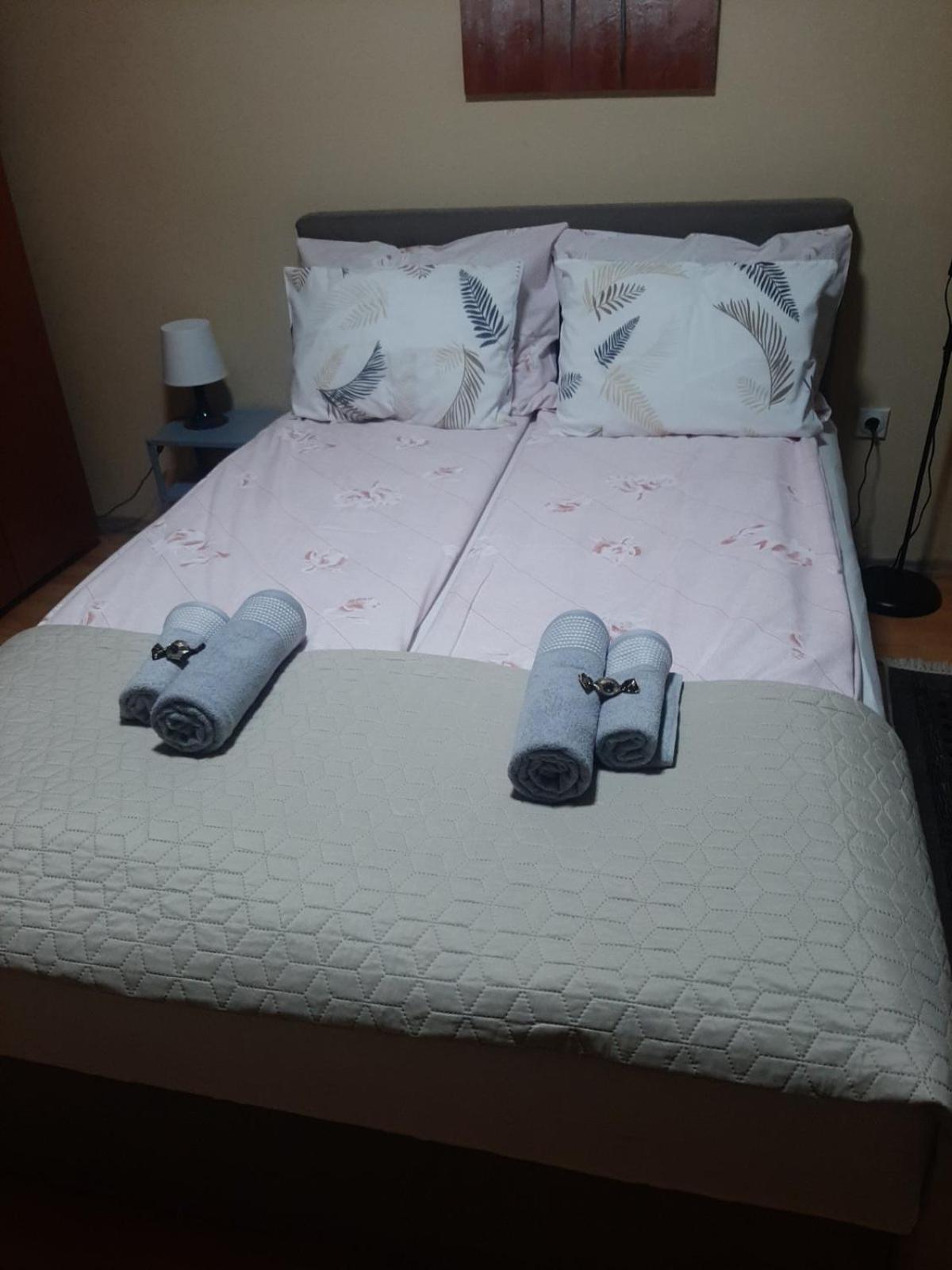 Apartman Ana Leskovac  Buitenkant foto